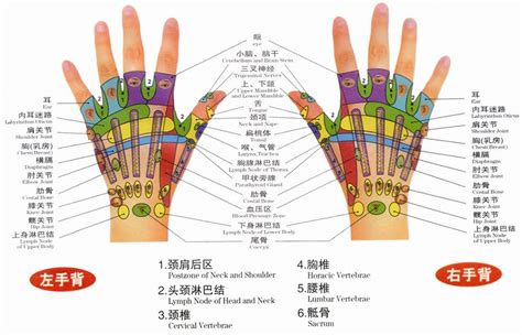 指穴|手掌穴道圖解大全，所有手掌穴位都有！手掌穴位圖按。